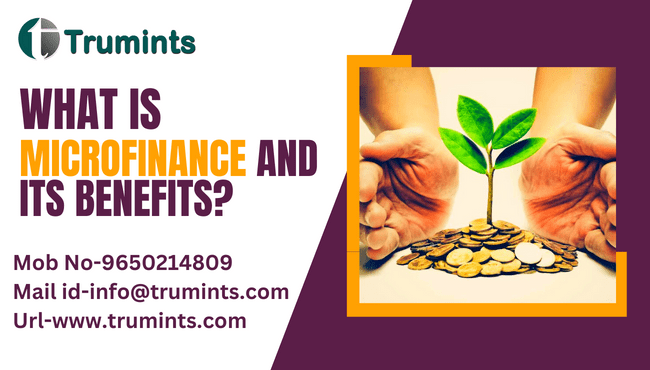 What is microfinance and its benefits?