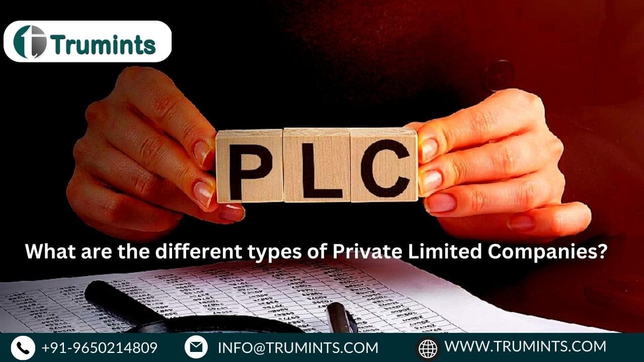 What are the different types of Private Limited Companies?